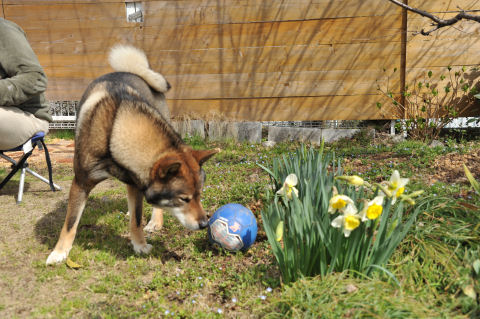 f0143123_2011169.jpg