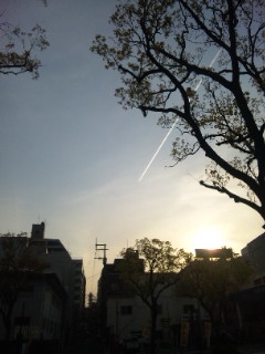 e0119327_14125674.jpg
