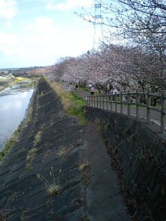 f0210439_2204170.jpg
