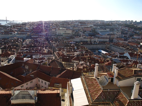 d0167041_4424437.jpg