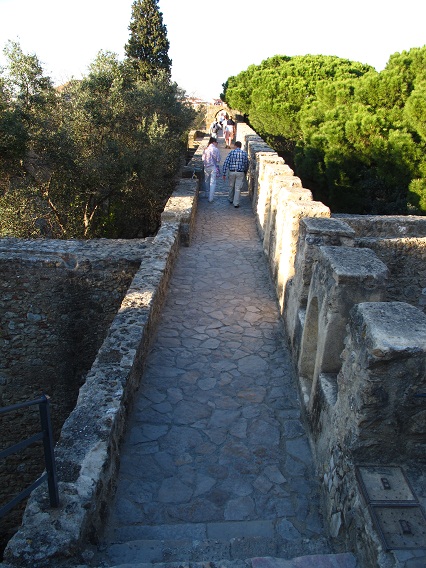 d0167041_443880.jpg