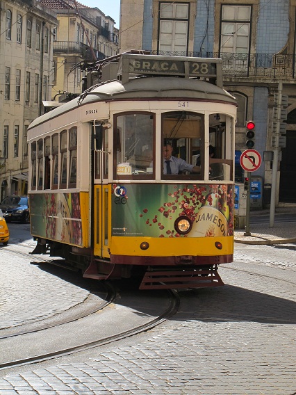 d0167041_55076.jpg