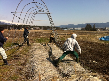 開園準備中です、４月６日に開園致します！_b0218062_22284296.jpg