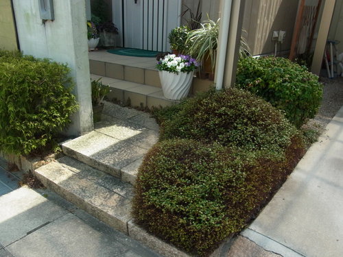 b0194267_21102660.jpg