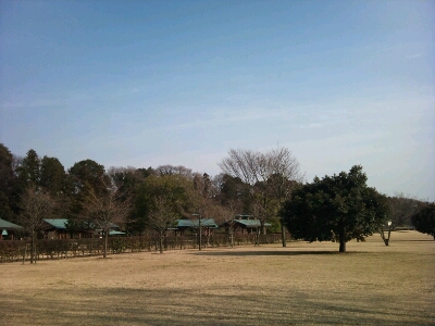 c0184075_15444412.jpg