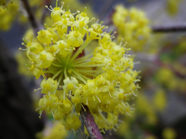 d0054276_20184347.jpg