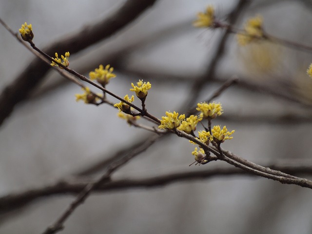 d0054276_20192676.jpg
