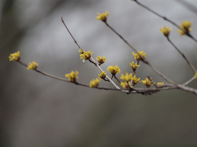 d0054276_20193798.jpg