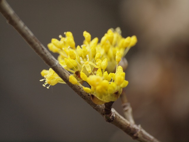 d0054276_20195870.jpg