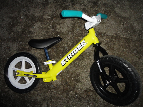 わが子とストライダー_b0189682_19493129.jpg