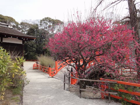 金閣寺～下鴨神社～銀閣寺_b0103583_23222820.jpg