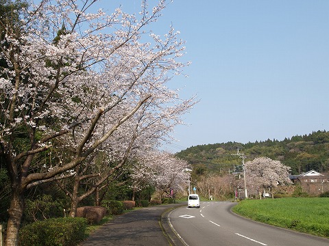春の陽気_f0197985_12253831.jpg
