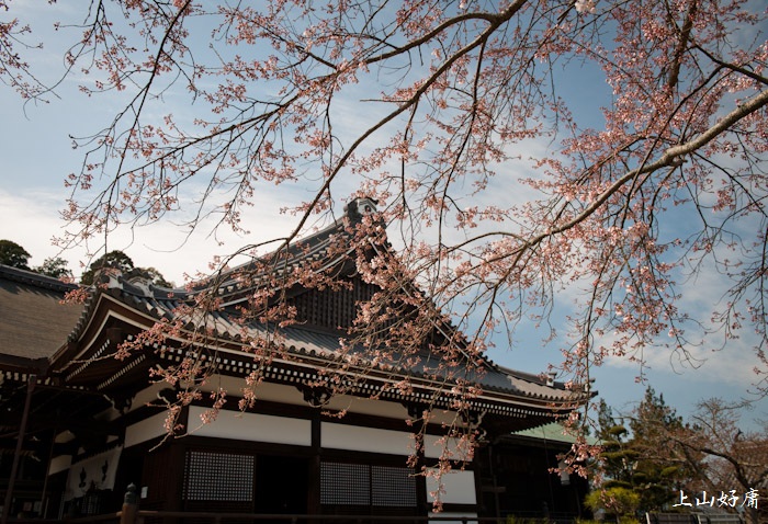 橘寺_e0092186_21435571.jpg