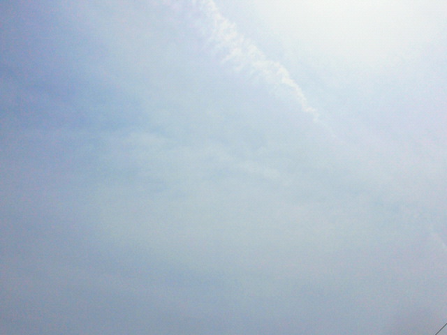暖かいですね〜\(^O^)/_c0140599_1156354.jpg