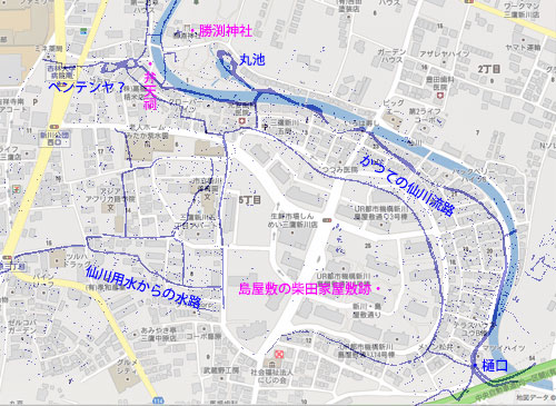 謎解き仙川用水その3ー島屋敷ルートと仙川源流地帯～深大寺用水と入間川を紐解く（12）_c0163001_14143257.jpg