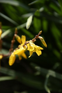 a0123003_1044359.jpg