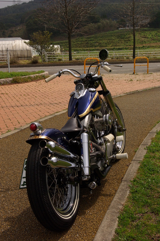 d0149307_11535835.jpg