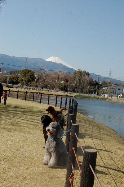 c0097309_5462564.jpg