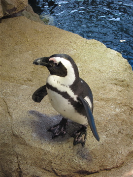 c0145209_91264.jpg