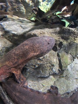 c0145209_9142484.jpg