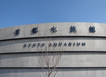 c0145209_963947.jpg