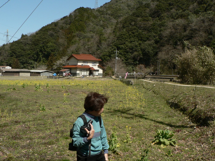 春告げる花あれこれ_f0219710_8155226.jpg