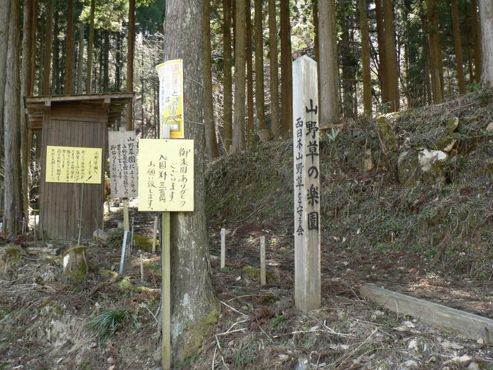 f0219710_8172182.jpg
