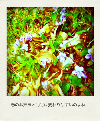 b0183911_10291031.png