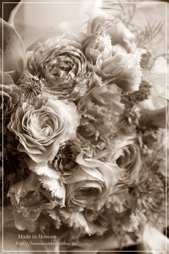 e0244915_1928599.jpg