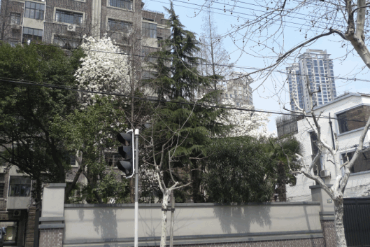 e0157816_8515327.gif
