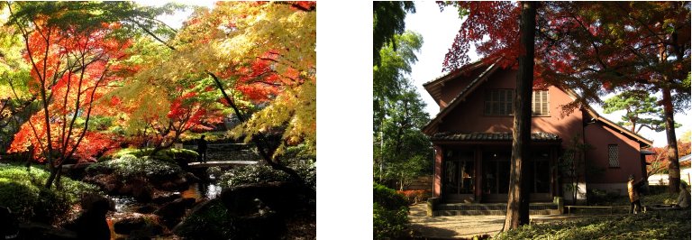 荻窪編(6):大田黒公園(10.11)_c0051620_84620.jpg