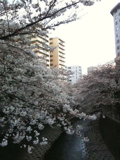 a0200423_1946239.jpg