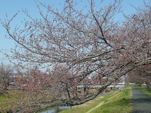 c0009528_2346201.jpg