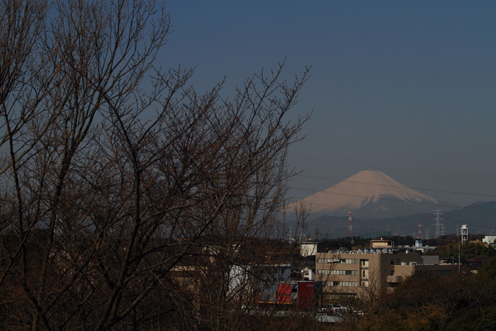 桜の季節へ＾＾_b0169330_13595883.jpg