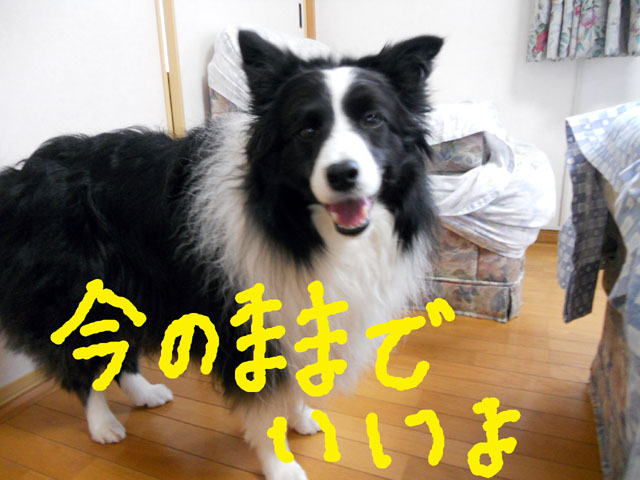 d0059230_8343727.jpg
