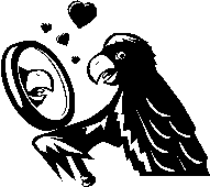 b0213435_2273583.gif
