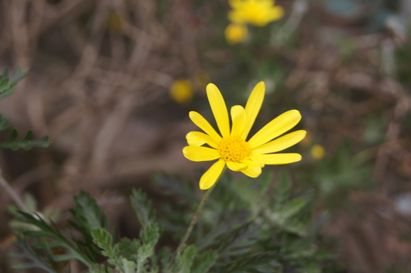 b0208439_10415950.jpg