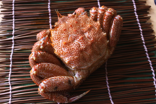 毛がに甲羅焼き 3月31日_f0113639_17404911.jpg