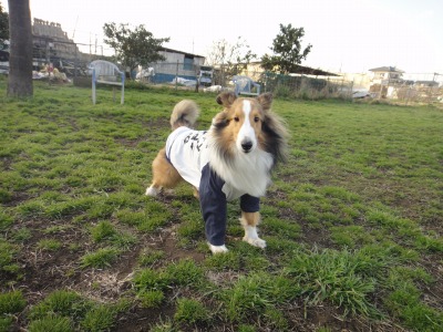 バスに乗ってお出かけ♪_e0195743_11596.jpg