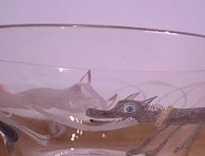 b0132444_13165474.jpg
