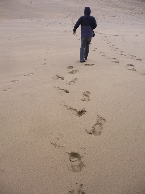 e0118846_16433849.jpg