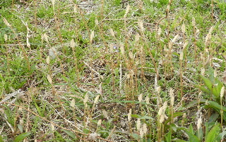 e0172950_18253100.jpg