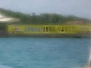 d0031853_12848.jpg
