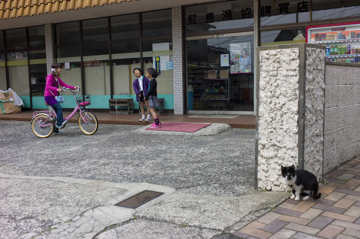 藍島（あいのしま）７〜最終回〜_c0028861_12134774.jpg