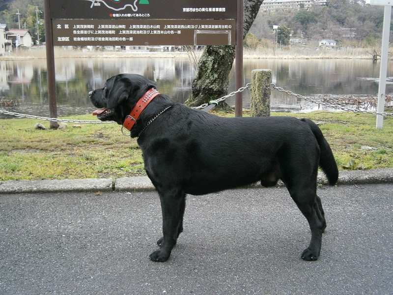 c0128862_20593039.jpg