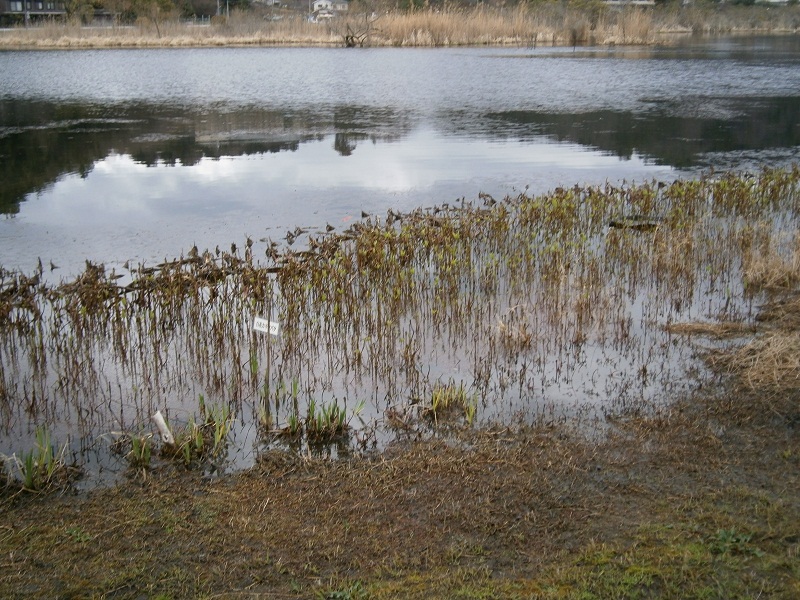 c0128862_2102176.jpg