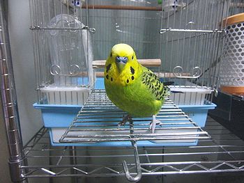 f0196665_2155058.jpg