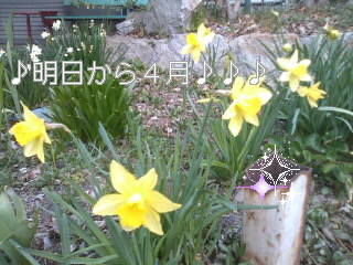 春の嵐・・・今日で３月もおわりです（＾ー＾）_f0061067_19581774.jpg