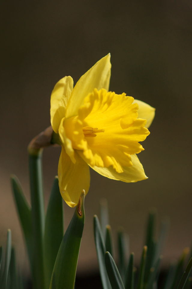 b0223668_641511.jpg