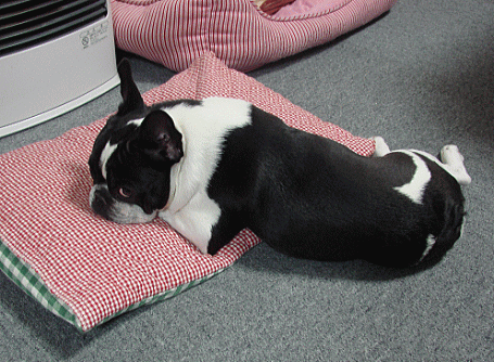 d0152869_22341880.gif